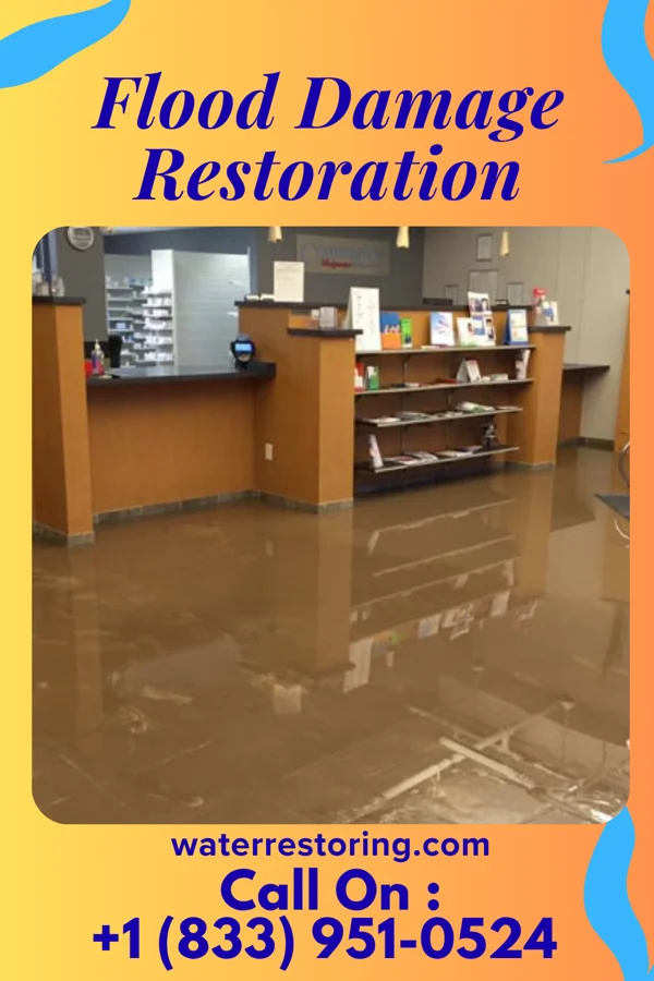 Flood Damage Restoration in Livonia, MO