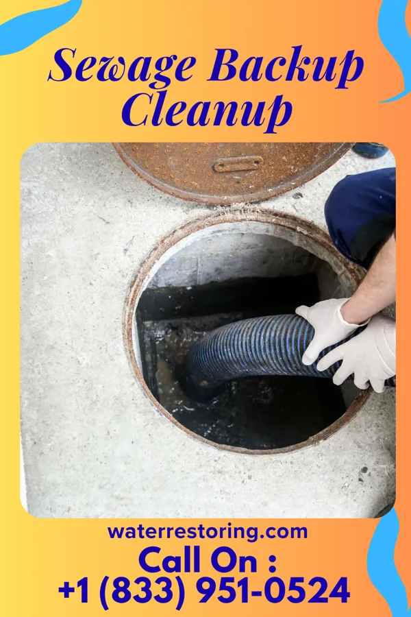 Sewage Backup Cleanup in Livonia, MO